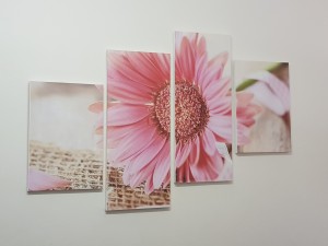 Photographic Solutions